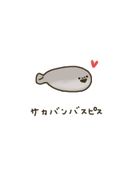 Relaxed and cute Sakabanbasu spiss.