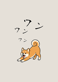 私の愛しい柴犬(灰褐色)