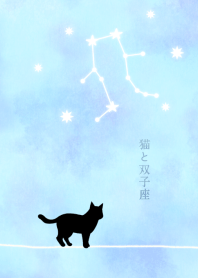 Zodiac sign and cats-Gemini-