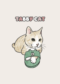 creamtabby1 / light cream