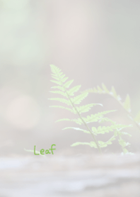 Leaf Theme 5