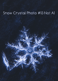 Snow Crystal Photo #13-24Not AI
