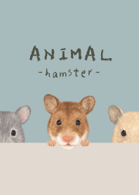 ANIMAL - Golden hamster - BLUE GRAY