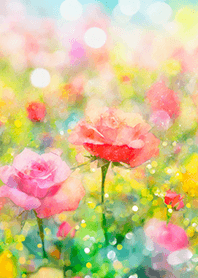 Beautiful rose flower(R3527)