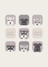 DOGS - シュナウザー - パープルグレー