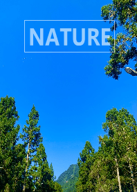 自然的寧靜38