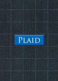 PLAID & DENIM