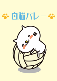 Very white cat and volleyball