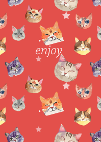 we are cats on red