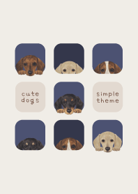 DOGS - dachshund - NAVY