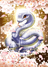 Cherry blossoms and white snakes