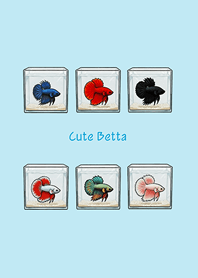 ah! Cute Betta!(Light blue)