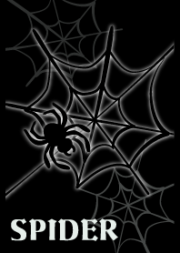 SPIDER and SPIDER WEB