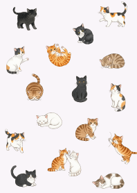so many cute cats15