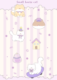 Small house cat1