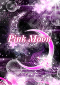 Pink Moon ~Beautiful Fantasy~