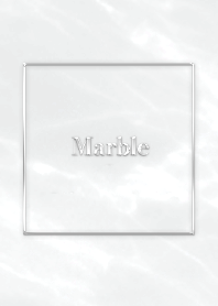 Marble & Silver  - Gray 02