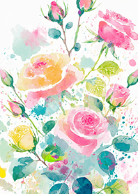 Beautiful rose flower(R4972)