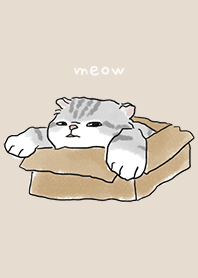 neko drawing3 / almond