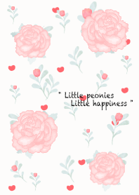 Beautiful peonies 6