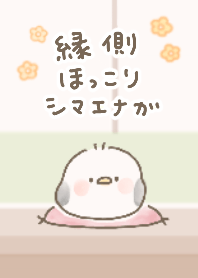 Relaxing the long-tailed tit relaxing