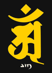 BONJI zodiac [aM] BLACK YELLOW (0659