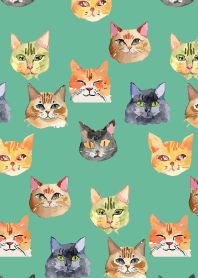 lots of cat faces on blue green