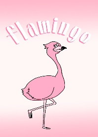 *Flamingo*