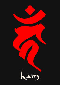 BONJI zodiac [haM] BLACK RED (0842