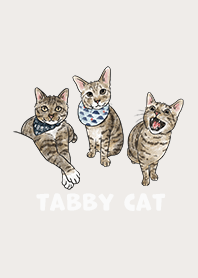tabbycat2 / light beige