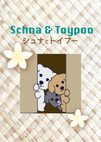 シュナとトイプー 〜夏〜