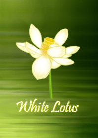 White Lotus