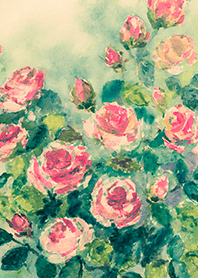 Beautiful rose flower(R4270)