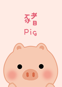 寶貝豬-粉
