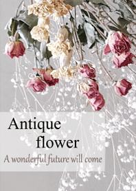 アンティーク・ドライフラワーの世界♪10