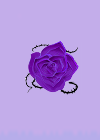 Lucky rose 10002