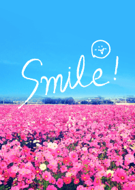 Cosmos smile feeling from JAPAN