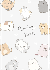 Soft and fluffy cat01_2