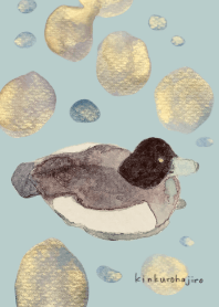 watercolor theme. Tufted Duck