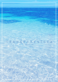 TRANSPARENT SEA 16