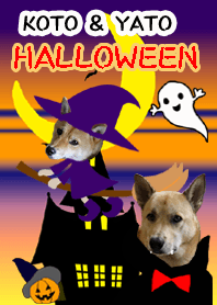 KOTO & YATO Halloween