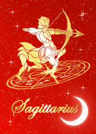 Zodiac signs Sagittarius5 Christmas Ver.