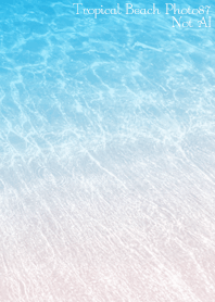 TropicalBeach Photo87 Not AI