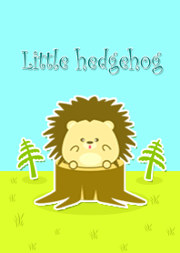Little hedgehog