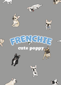 frenchie7 - dim grey
