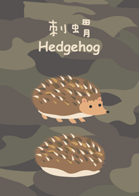 Hedgehog and camouflage