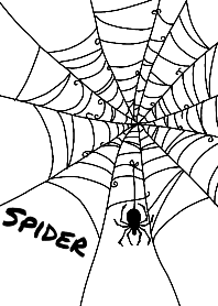 spider white Ver.