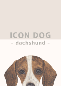 ICON DOG - dachshund - BEIGE/04