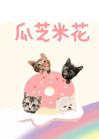 瓜芝 米花❤️