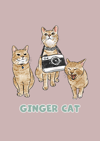 gingercat2 / rose pink